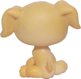 #0021 Golden Retriever